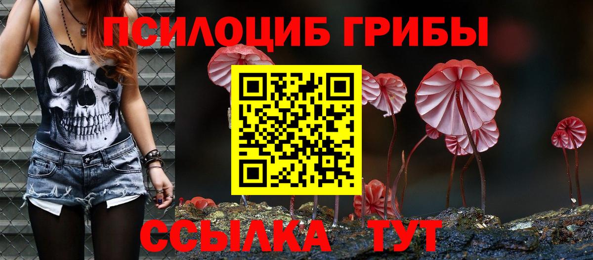 Галлюциногенные грибы Cubensis  Псилоцибиновые грибы Cubensis  Вход с VPN  Рузаевка 