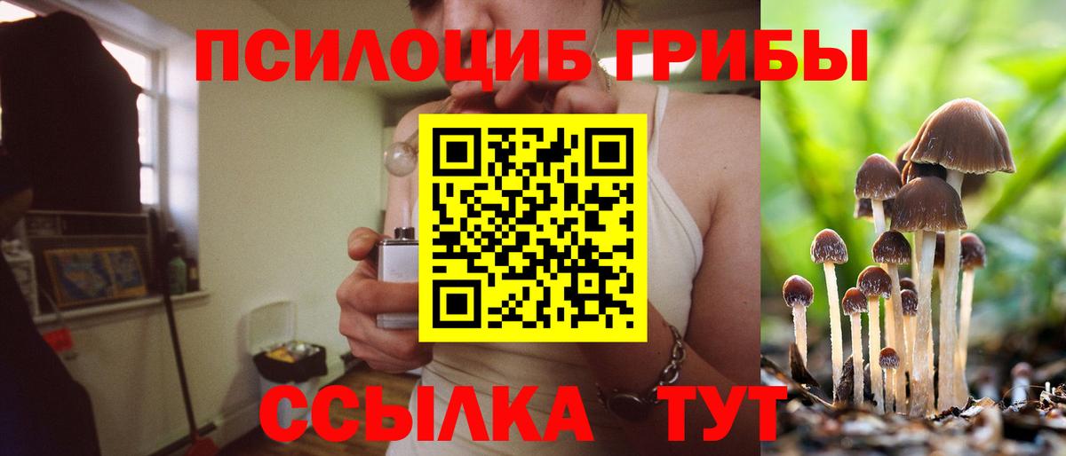 Галлюциногенные грибы мицелий Рузаевка